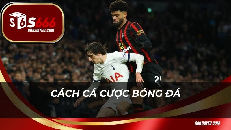 Cách cá cược bóng đá