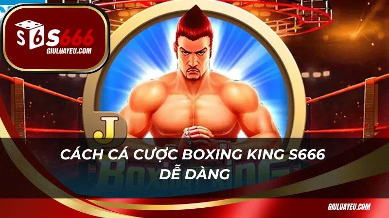 Cách cá cược Boxing King S666 dễ dàng