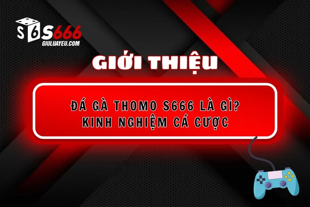 Đá Gà Thomo S666