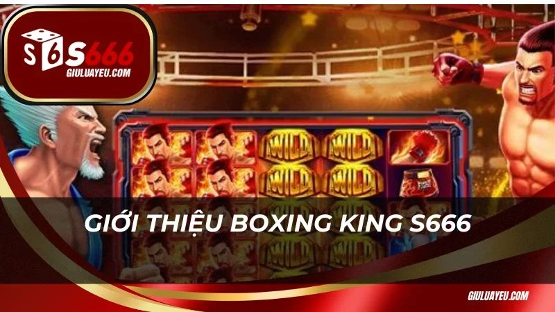 Giới thiệu Boxing King S666