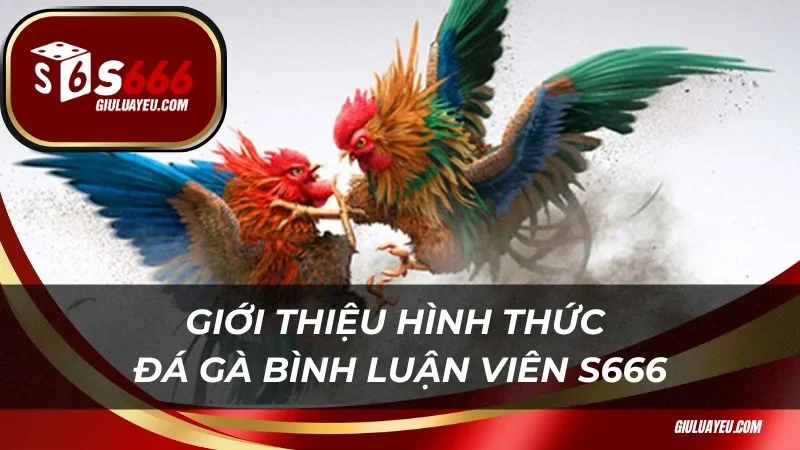 Giới thiệu hình thức đá gà bình luận viên S666