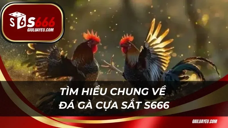 Tìm hiểu chung về đá gà cựa sắt S666