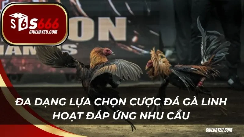 Đa dạng lựa chọn cược đá gà s666 linh hoạt đáp ứng nhu cầu