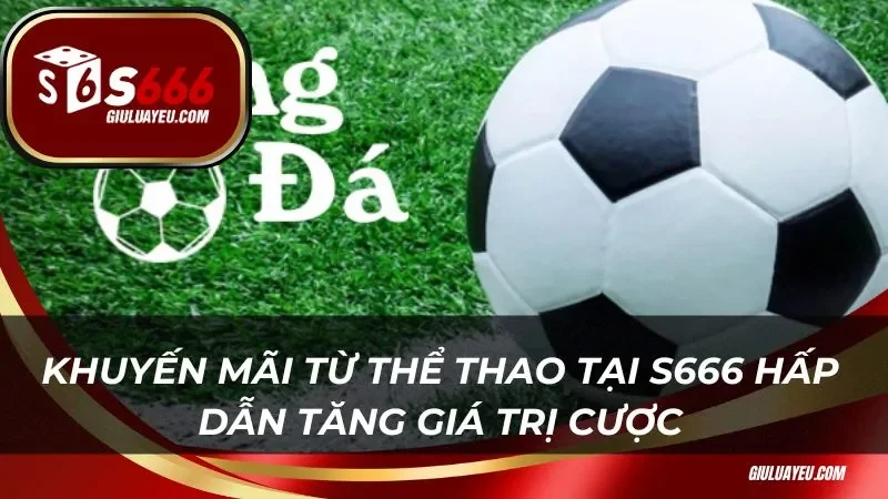 Khuyến mãi từ thể thao S666 hấp dẫn tăng giá trị cược