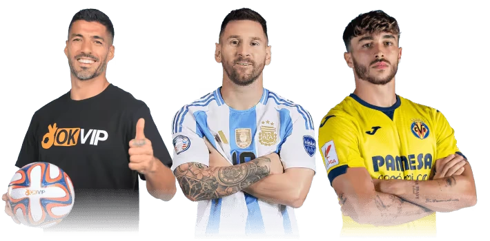 đại sứ hợp tác liên kết cùng fly88